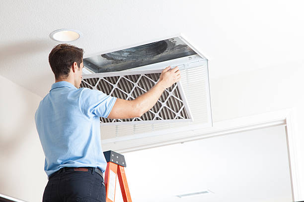 Best Local HVAC Companies  in Lemon Grove, CA